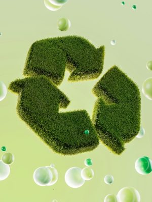 alex shuper hogssiuto2w unsplash 1 683x1024.jpg