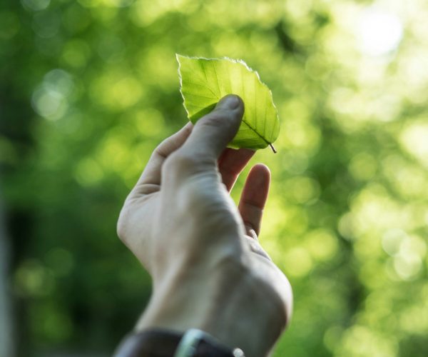 Sustainable products